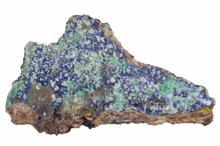 Azurite and Malachite Association on Matrix - Morocco #217796